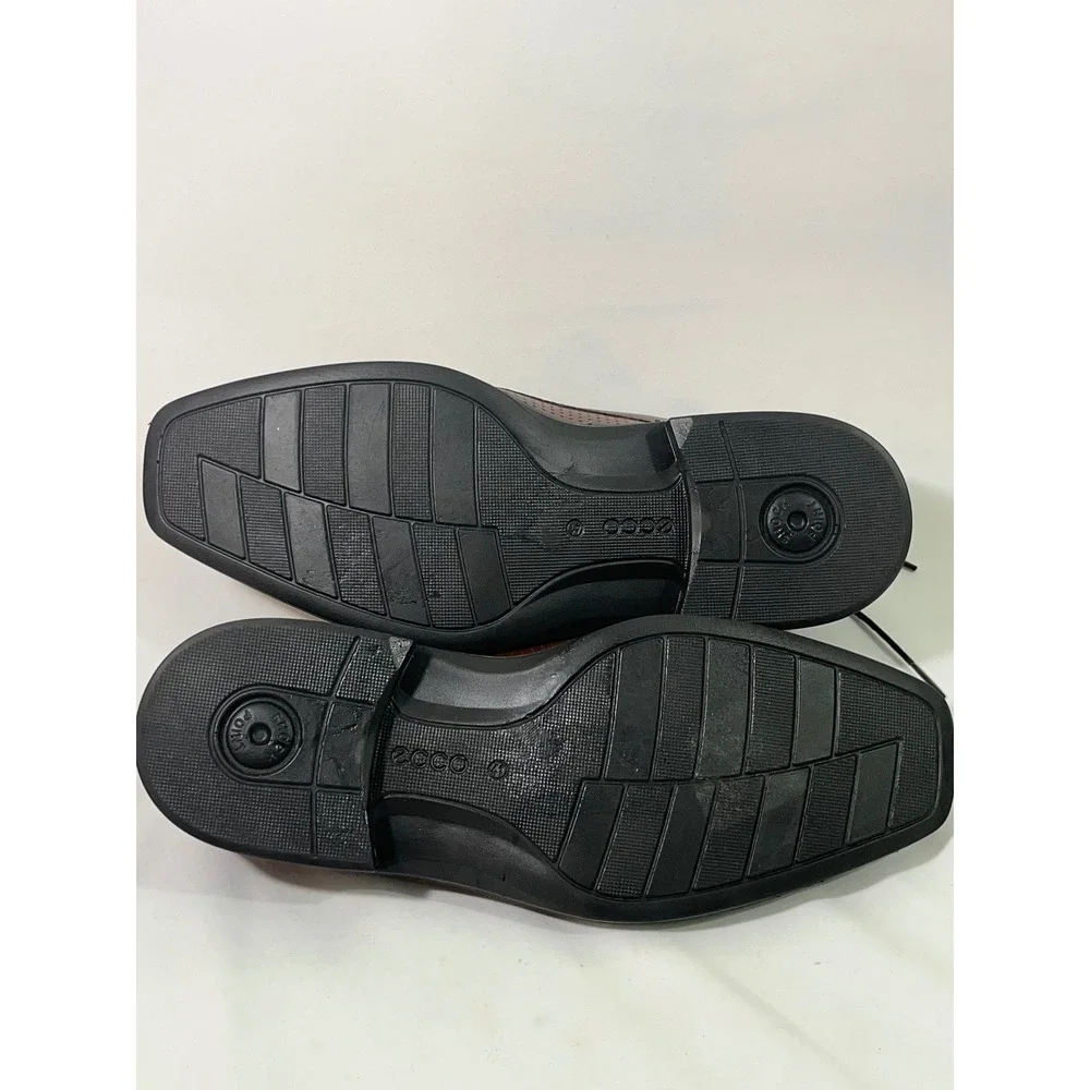 Ecco elevate your
